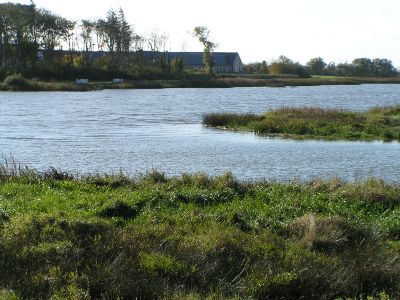 Sø ved Lønborggård oktober 2009